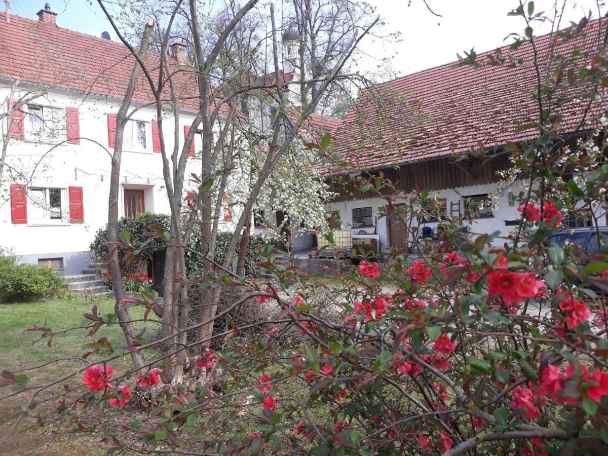 Zum Scheunenhof - Bauernhaus Ichenhausen Dış mekan fotoğraf